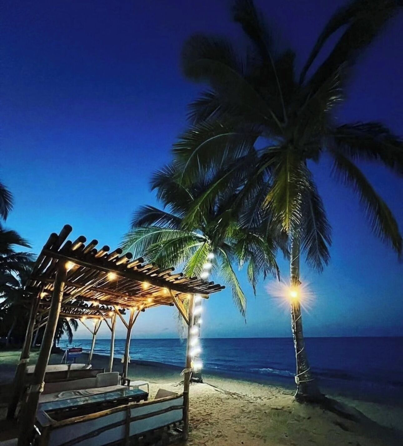 Een strandscène met een houten pergola en palmbomen.
