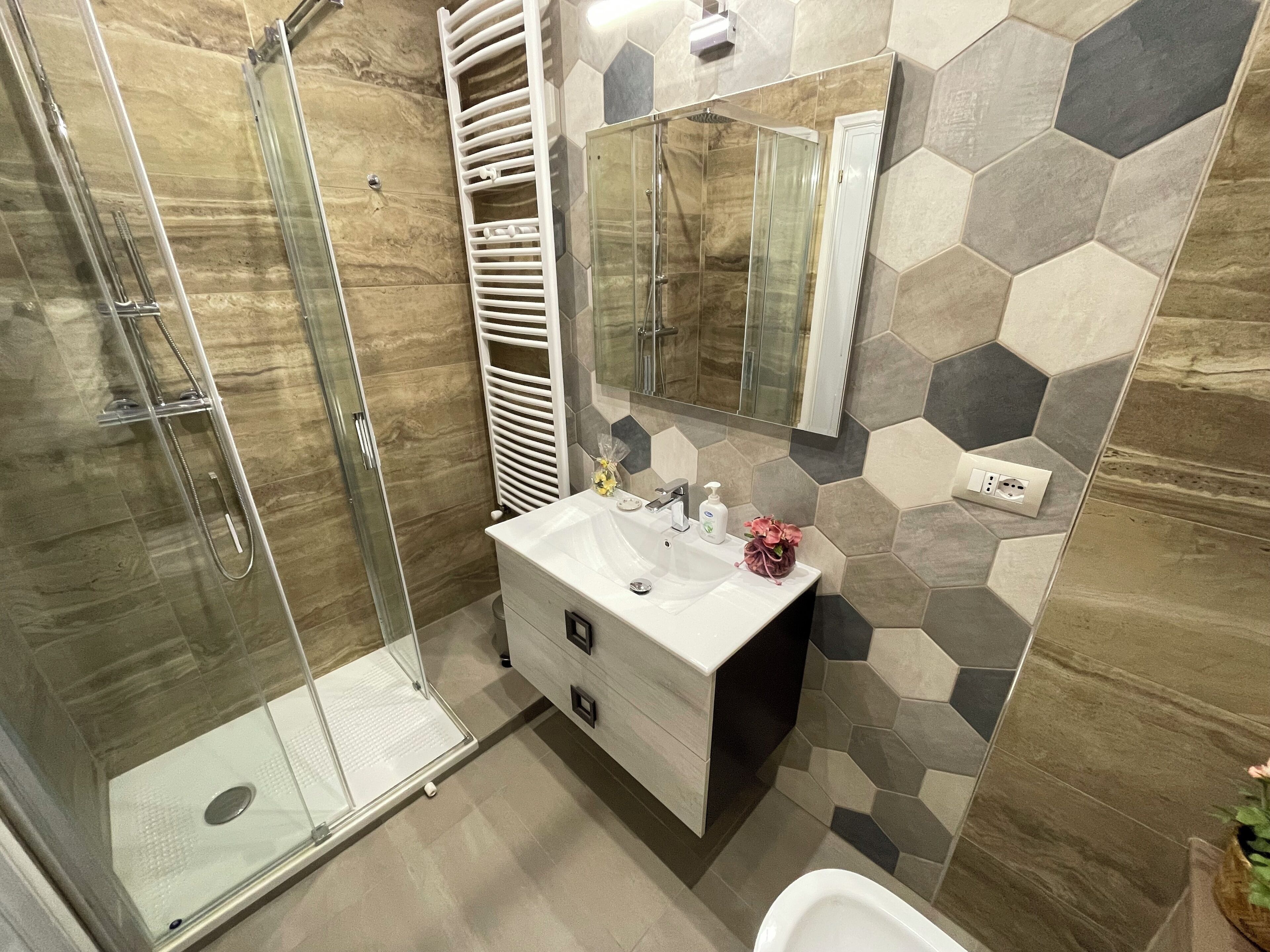 Shower, hair dryer, bidet, towels