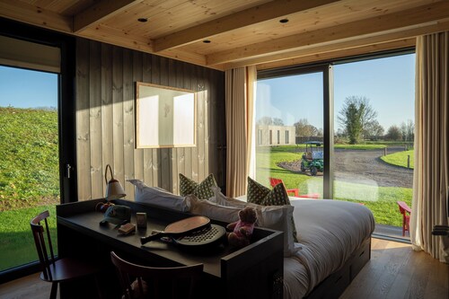 Mad Swans in The Mendips