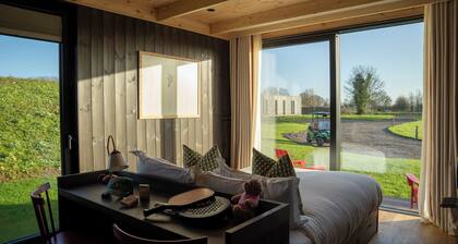 Mad Swans in The Mendips