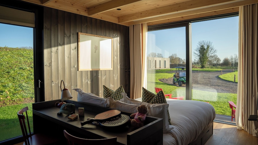 Mad Swans in The Mendips