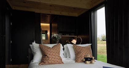 Mad Swans in The Mendips