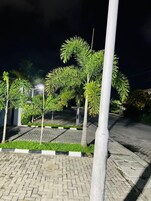 A paved pathway with small trees and a white pole.