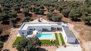 A modern house with a swimming pool, surrounded by olive trees.