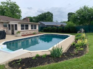 A rectangular swimming pool with a tiled deck, surrounded by a landscaped garden with various plants. - All the Vibes Poolside in Trenton! (Trenton)