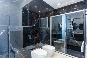 Shower, hair dryer, bidet, towels