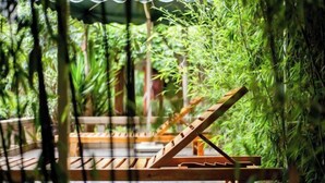 Una silla de lounge de madera con estructura metálica, rodeada de exuberantes plantas de bambú verde.