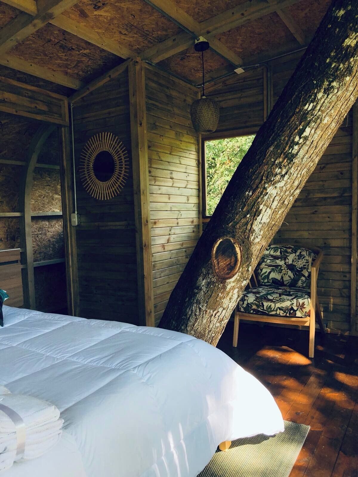 1 habitación, wifi y ropa de cama 