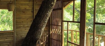 Tree house TOBIA near Bogota