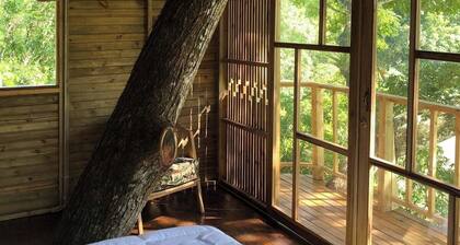 Tree house TOBIA near Bogota