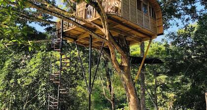 Tree house TOBIA near Bogota