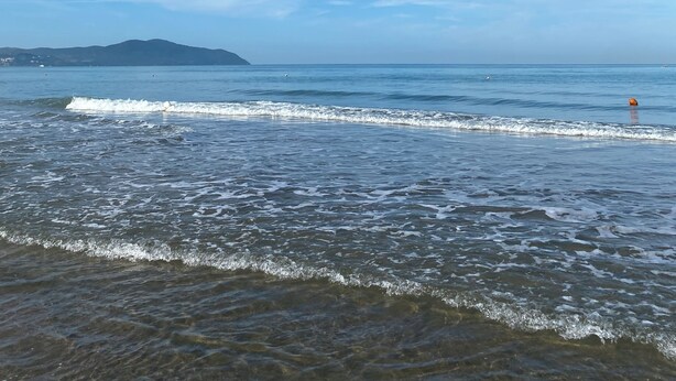 Une plage avec un ciel dégagé et des vagues douces.