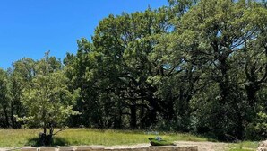 Une piscine rectangulaire bordée de pierres, entourée de pelouse et d’arbres.