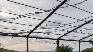 Un espace extérieur aménagé avec une zone de sièges abritée, comprenant une table et des chaises, entouré d’un sol pavé de pierres et offrant une vue sur un champ verdoyant et des montagnes lointaines.