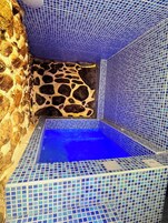 Una pequeña piscina con azulejos, con un muro de piedra a un lado y un muro con azulejos azules al otro.