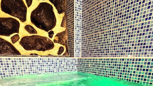 Ein Schwimmbecken mit Mosaikfliesen und einer Wand mit einem einzigartigen Muster.
