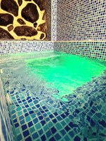 Una piscina con mosaicos y una pared revestida con un diseño original.