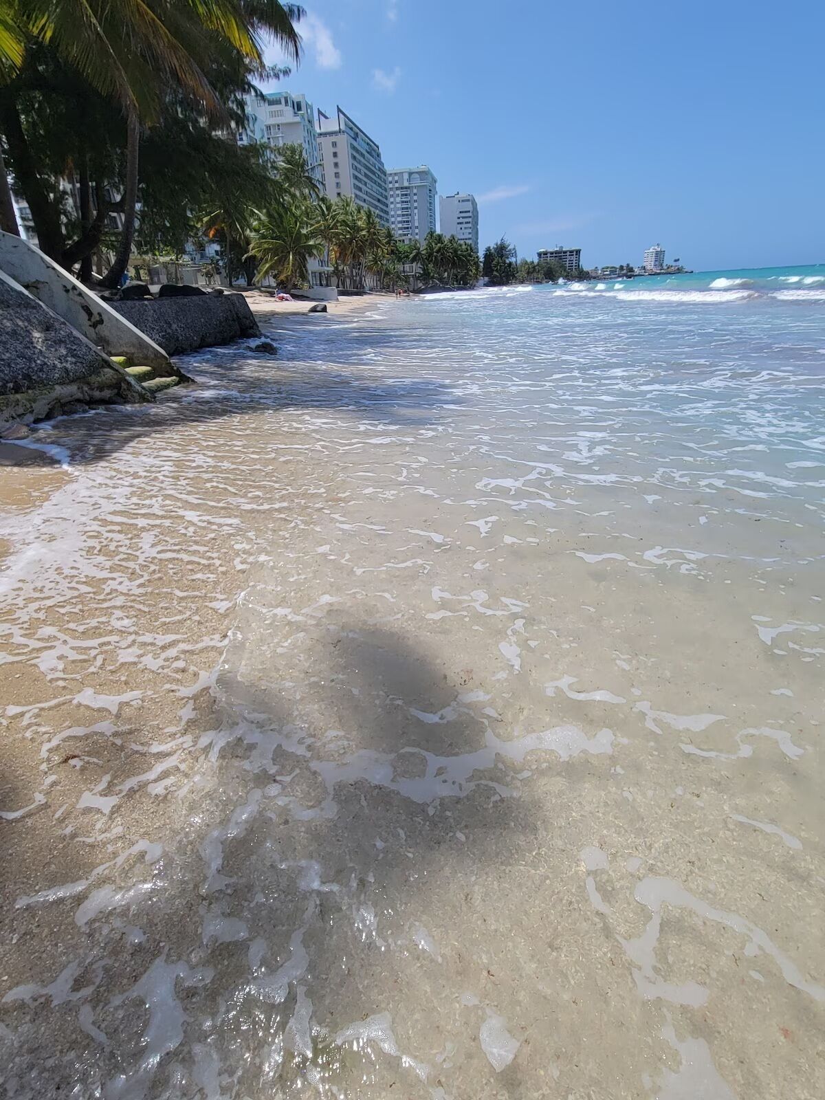 A beach with clear water, palm trees, and buildings in the background.
