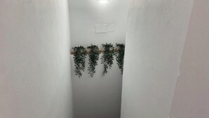 Passadís estret amb parets blanques, un terra emblat i una planta penjant.