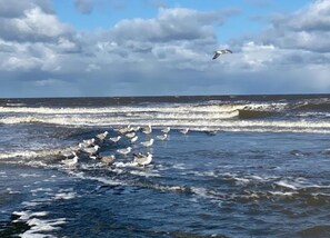 하우스 | 숙박 시설의 전망