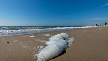 House | Pemandangan dari hartanah