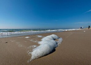 House | View from property - Bungalow in Sint Maartenszee Near Beach (Sint Maartensvlotbrug)