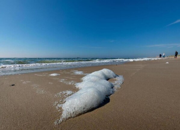 House | View from property - Bungalow in Sint Maartenszee Near Beach (Sint Maartensvlotbrug)