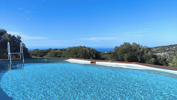 Piscina azul cristalina com deck de madeira e escada, cercada por árvores e vista para o oceano.