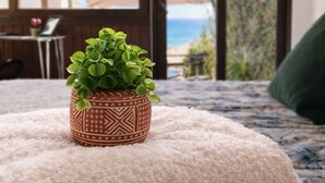 A bed with a view of a beach and palm trees through a window. - Del Alto Reñaca Guest House (Viña del Mar)
