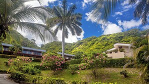A lush garden with palm trees and flowering bushes, a curved road, and two modern buildings with flat roofs. - Villa Cielo Casita — Pool & Ocean View, Ocotal (Playa Azul, Ocotal)