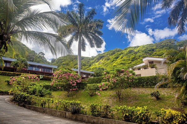 A lush garden with palm trees and flowering bushes, a curved road, and two modern buildings with flat roofs.