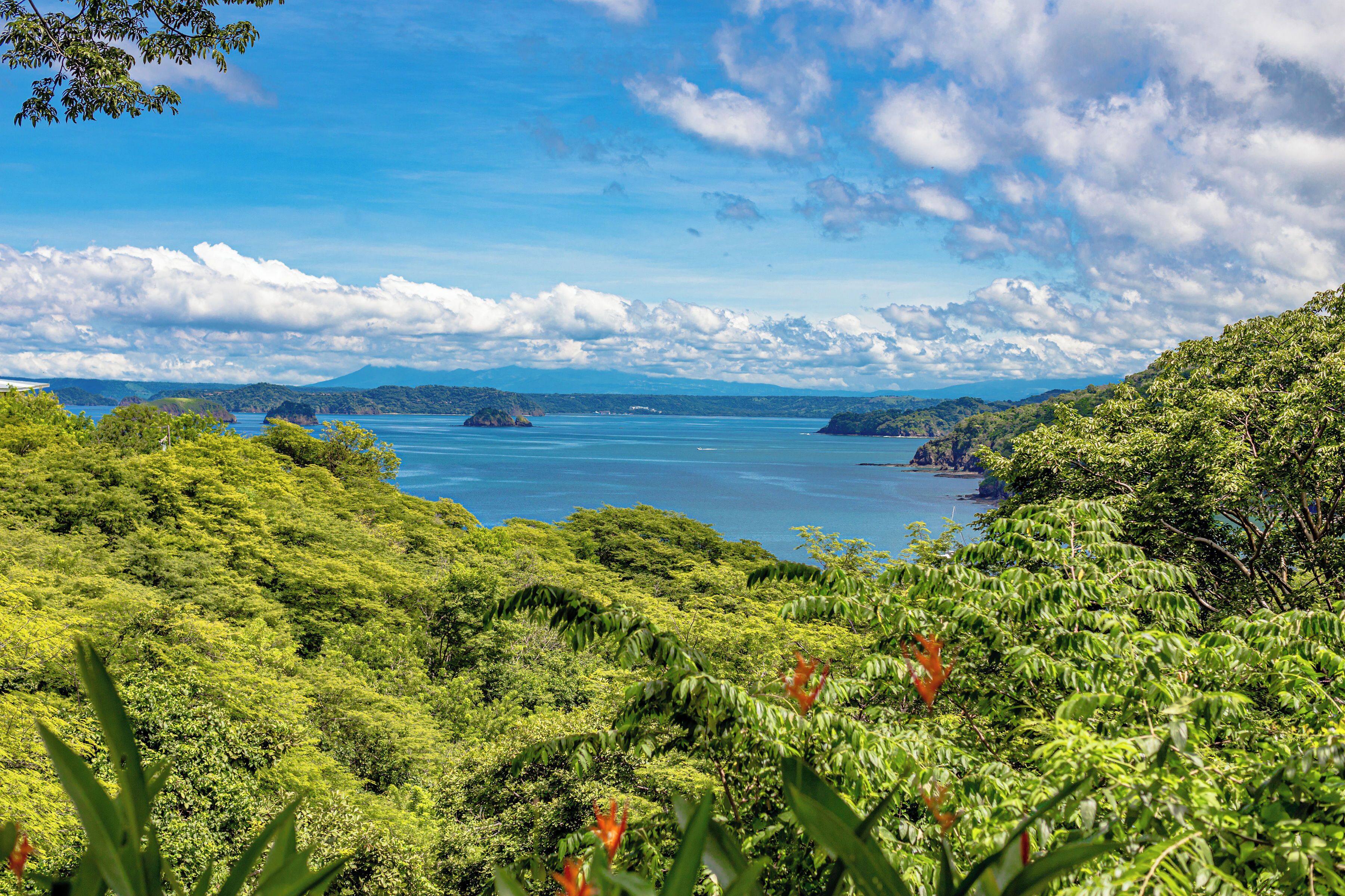 A lush green landscape with a view of a large body of water and distant mountains.