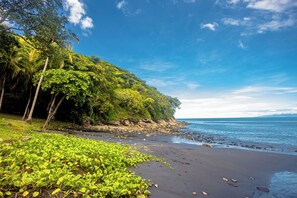 Beach - 1BR Casita with Pool, Beach Access, and Resort Amenities – Ideal for Couples (Playa Azul, Ocotal)