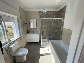 Shower, hair dryer, bidet, towels