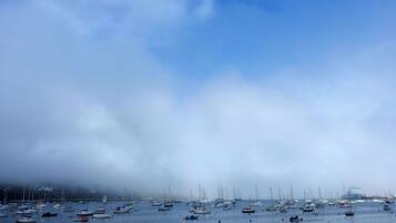 A marina with numerous boats docked under a cloudy sky.