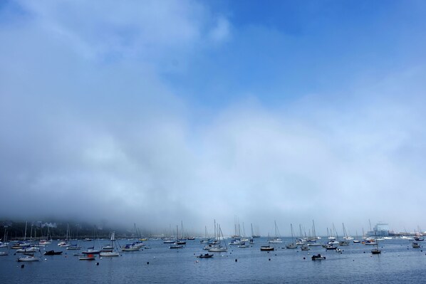 A marina with numerous boats docked under a cloudy sky. - Mariners Mirror (Falmouth)