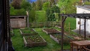 Un giardino con aiuole rialzate, un tavolo di legno e un pergolato.