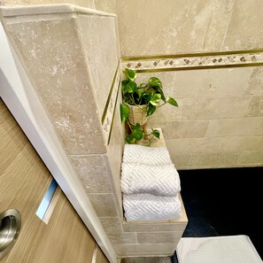 Shower, hair dryer, towels, soap