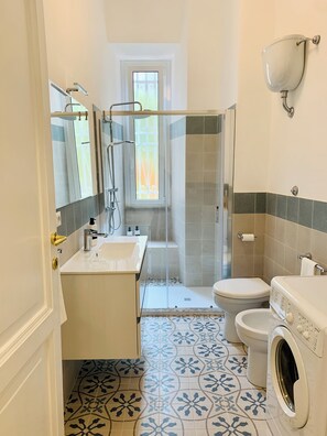 Shower, hair dryer, bidet, towels