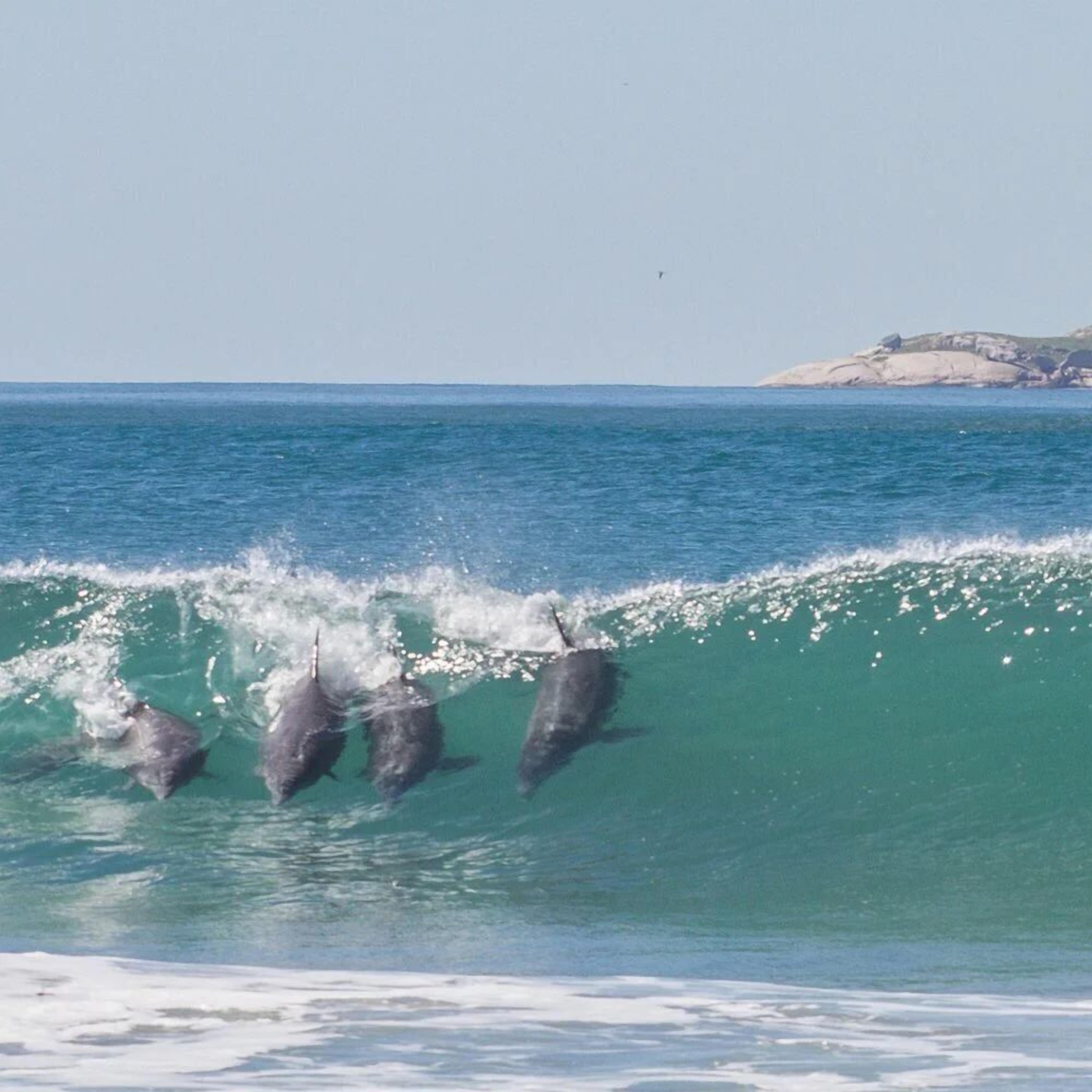 Praia