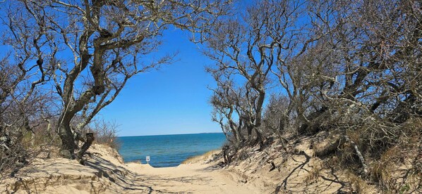 ビーチの近く、サンラウンジャー