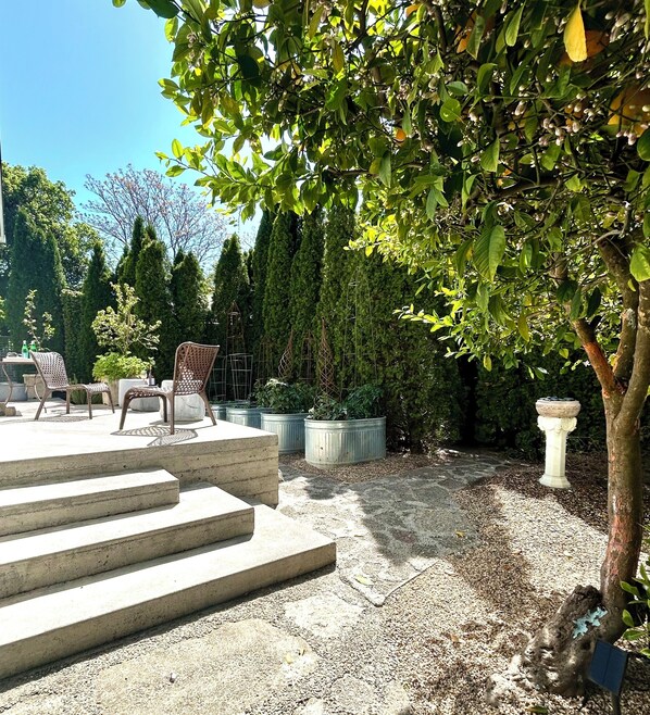 Terrasse/gårdhave