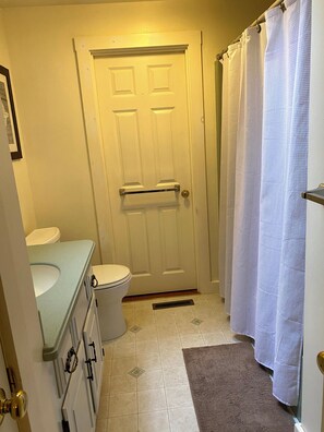 Shower, hair dryer, soap, toilet paper