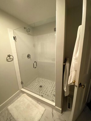 Shower, hair dryer, soap, toilet paper