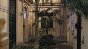 Un couloir étroit, avec un palmier et quelques plantes vertes au centre.