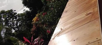 Bed & Breakfast with WiFi in Penville Ocean View & Totally Surrounded by Nature.