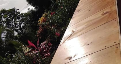 Bed & Breakfast with WiFi in Penville Ocean View & Totally Surrounded by Nature.