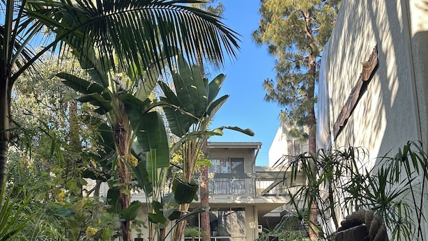 A wooden pathway leading to a building with a balcony, surrounded by tropical plants and trees.