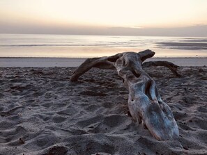 ใกล้ชายหาด