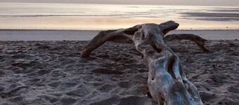 Casa Fofo Family House